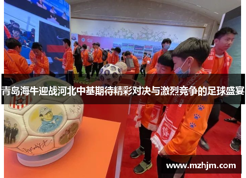 青岛海牛迎战河北中基期待精彩对决与激烈竞争的足球盛宴