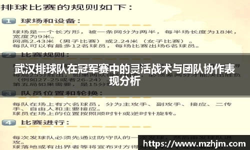 武汉排球队在冠军赛中的灵活战术与团队协作表现分析